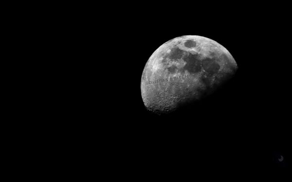 Luna,atmosfera,oggetto astronomico,bianco e nero