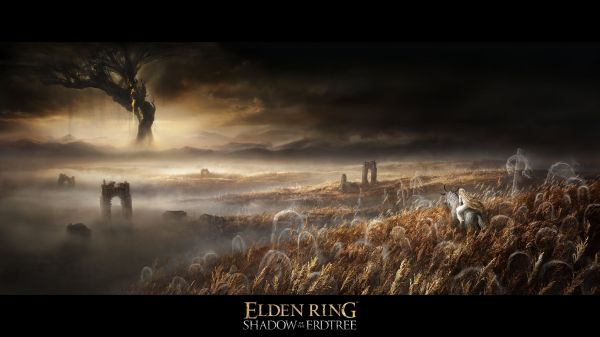 Elden Ring,DLC