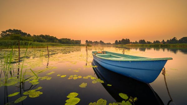 acqua,cielo,pianta,barca,risorse idriche,veicolo