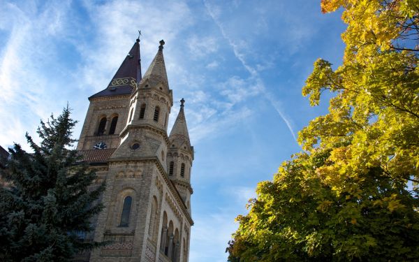 budynek,niebo,drzewa,Miasto,gałąź,zamek