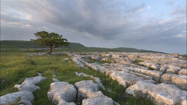 landskab,hav,bakke,sø,klippe,natur