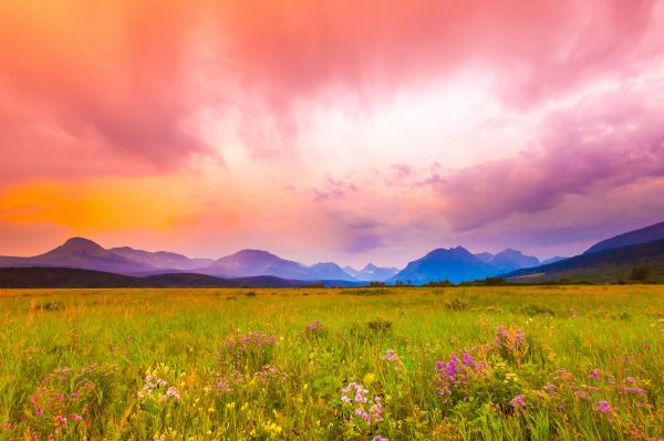 auringonvalo,maisema,auringonlasku,mäki,luonto,lintuja