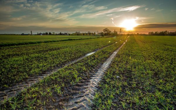 Sonnenlicht,Landschaft,Sonnenuntergang,Natur,Gras,Feld