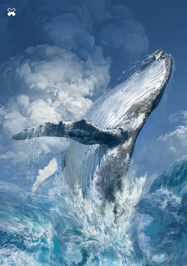 artwork,walvis