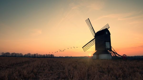 zonlicht,zonsondergang,veld-,zonsopkomst,avond,ochtend-