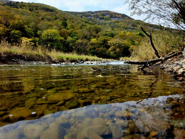 montagne,fiume,alberi