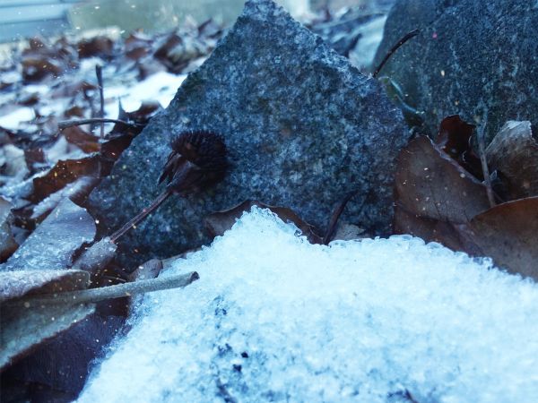 neve,agua,Congelando,líquido,azul elétrico,Fenômeno geológico