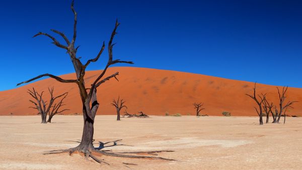 paisaje, mar, arena, playa, Desierto, duna