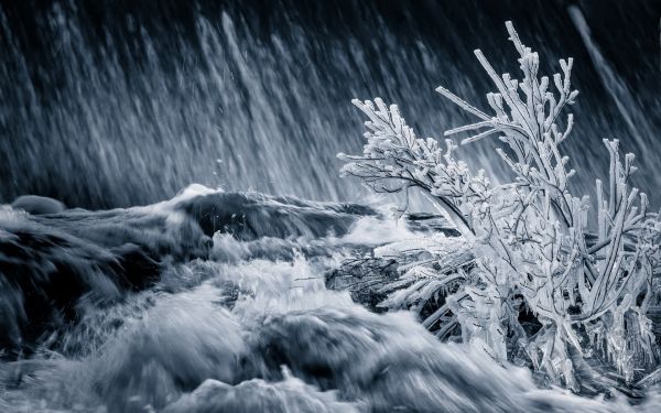 monocromático,agua,natureza,neve,inverno,gelo