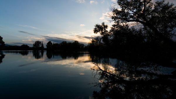 tájkép,napfény,esik,napnyugta,tó,víz