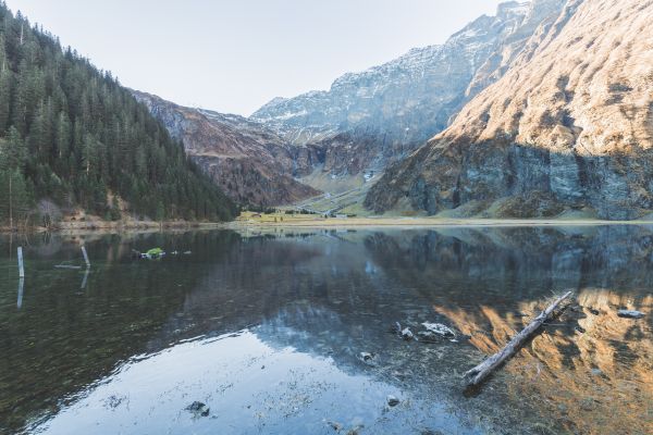 дървета,езеро,вода,природа,размисъл,река