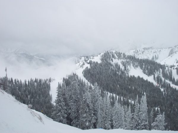 性质,雪,冬季,阿尔卑斯山,滑雪,岭