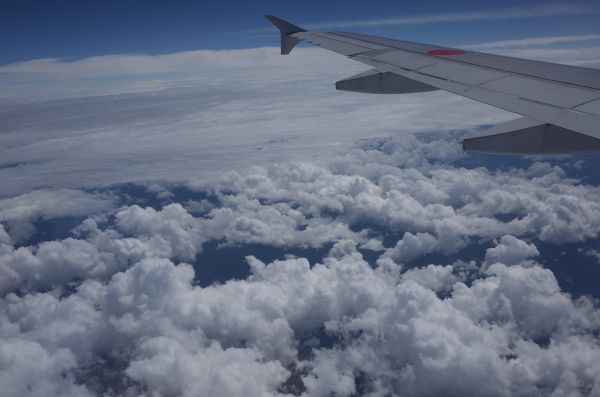 langit, salju, kendaraan, pesawat terbang, pesawat terbang, suasana