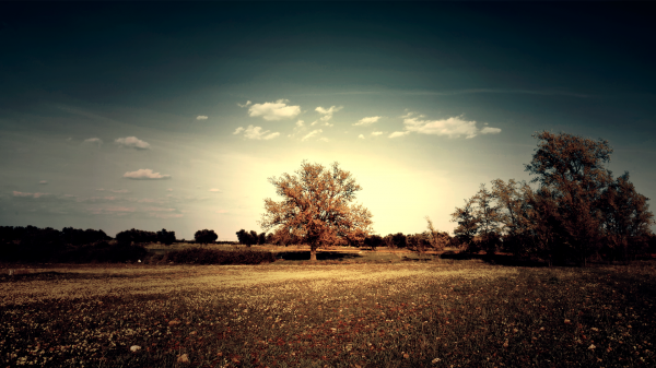 Sonnenlicht, Landschaft, Sonnenuntergang, Nacht-, Natur, Betrachtung