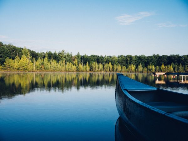 träd,landskap,båt,hav,sjö,vatten