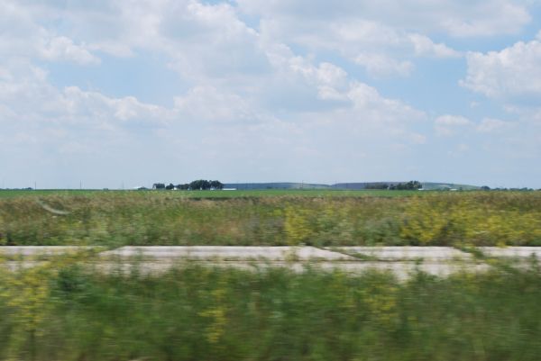 paysage,mer,rive,herbe,côte,vieux