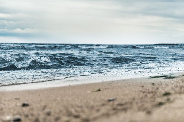 mare,acqua,puntellare,sabbia,spiaggia,costa