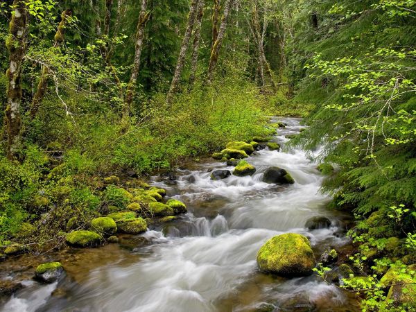 la nature,eau