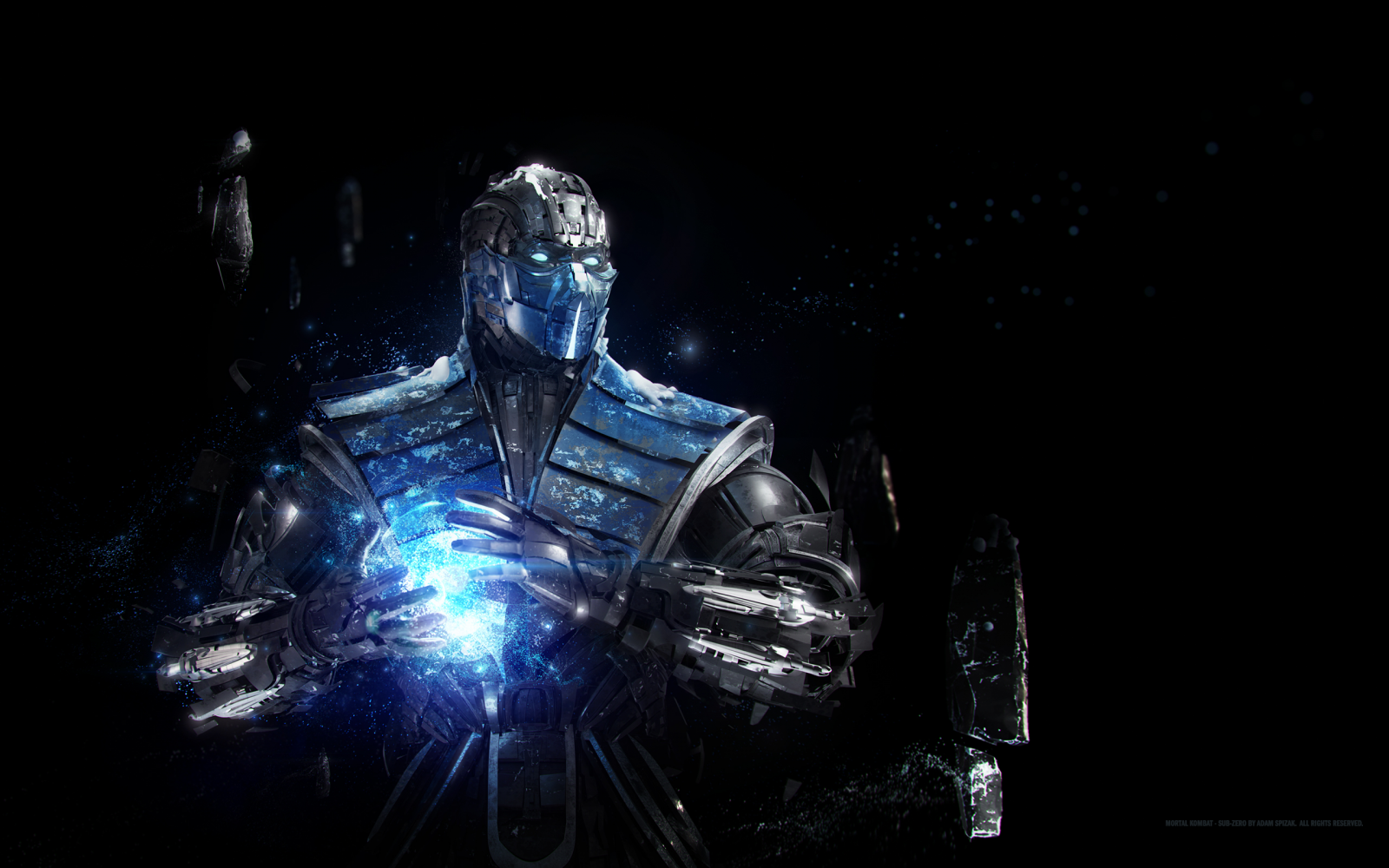 Sub Zero, Combat mortel