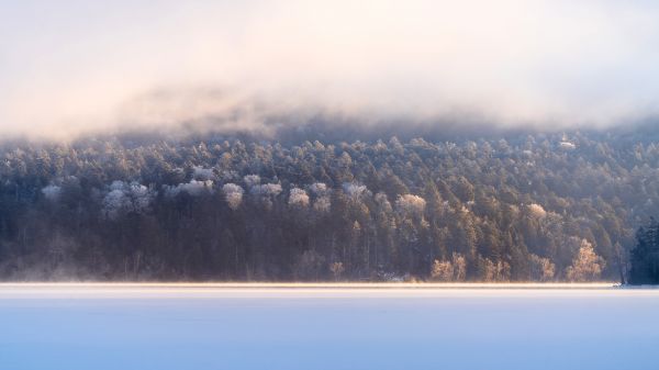 nube,acqua,cielo,Natural landscape,atmosfera,albero