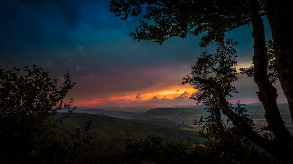 peisaj,pădure,deal,natură,lumina soarelui,apus de soare