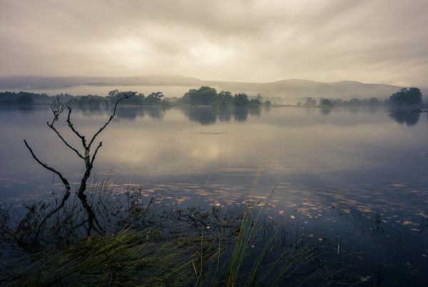 solljus, landskap, solnedgång, hav, kulle, sjö