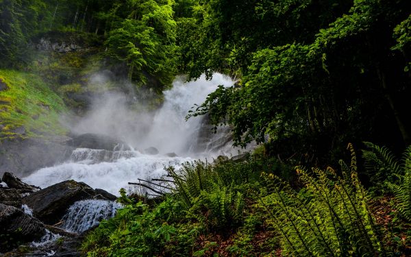 paisaje, bosque, cascada, agua, naturaleza, río