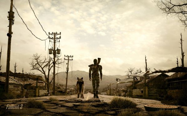 δρόμος, φωτογραφία, απόγευμα, πρωί, Fallout, δέντρο