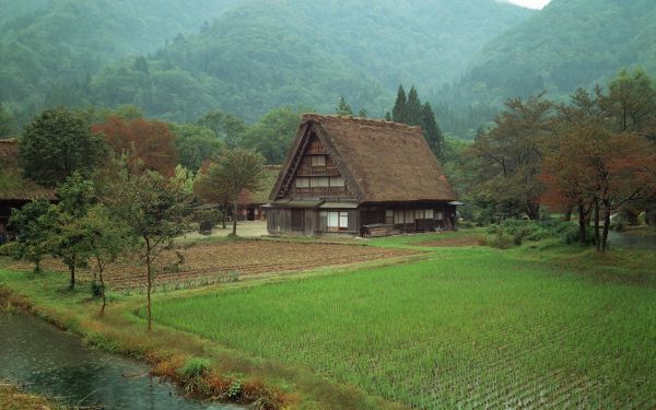 風景,谷,丘,建物,村,ファーム