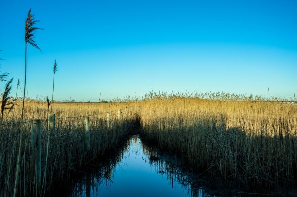 sollys,natur,landskab,solnedgang,sø,afspejling