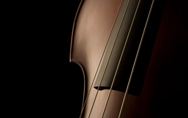 đàn ghi ta, nhạc cụ, đàn vi ô lông, Cello, Dụng cụ dây kéo, Contrabass