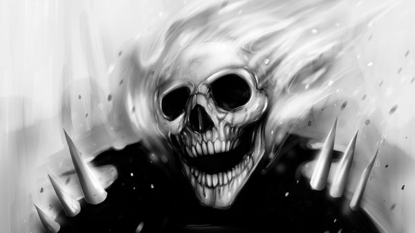 white, black, monochrome, photography, skull, artwork