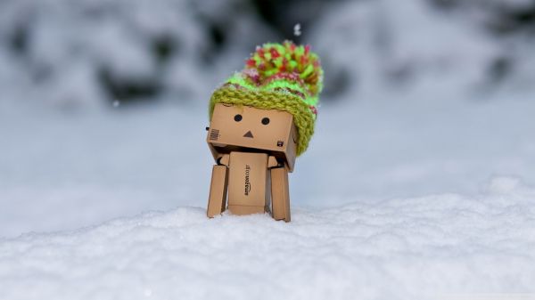 сняг,зима,снежен човек,Danbo,вълнена шапка,метеорологично време