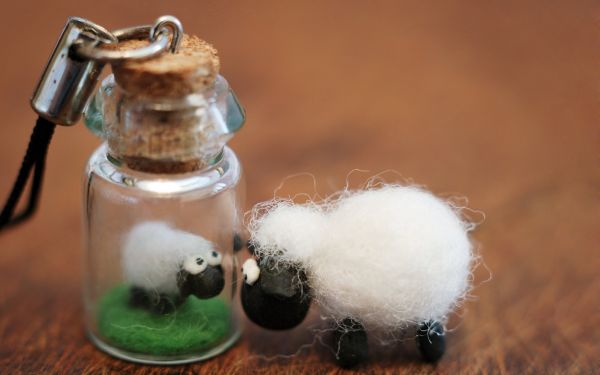 shaun the sheep movies,drink,bottle,macro photography,flavor