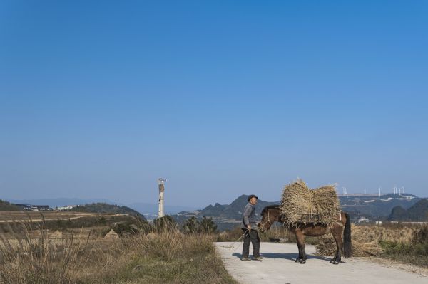 hemel,fabriek,wolk,working animal,berg-,grasland