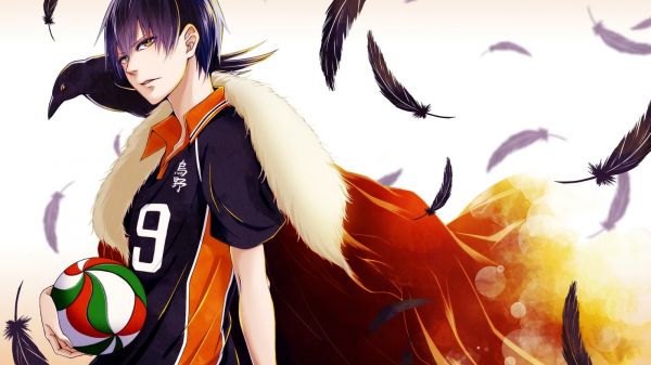 anime, Haikyuu, kostume, illustration