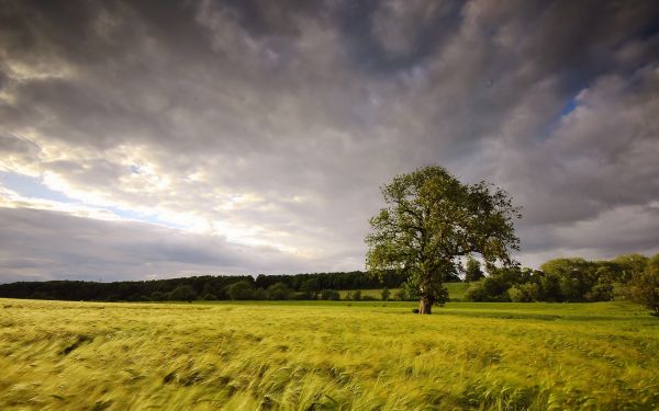 światło słoneczne,krajobraz,zachód słońca,wzgórze,Natura,trawa