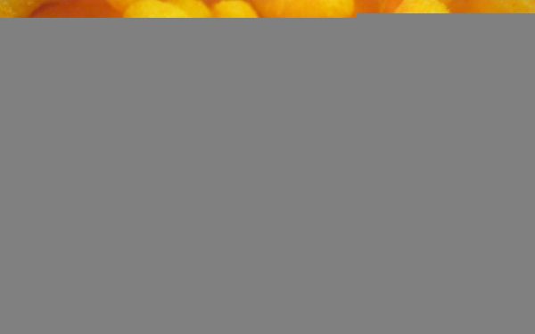 food,yellow,pattern,curtain,orange,circle