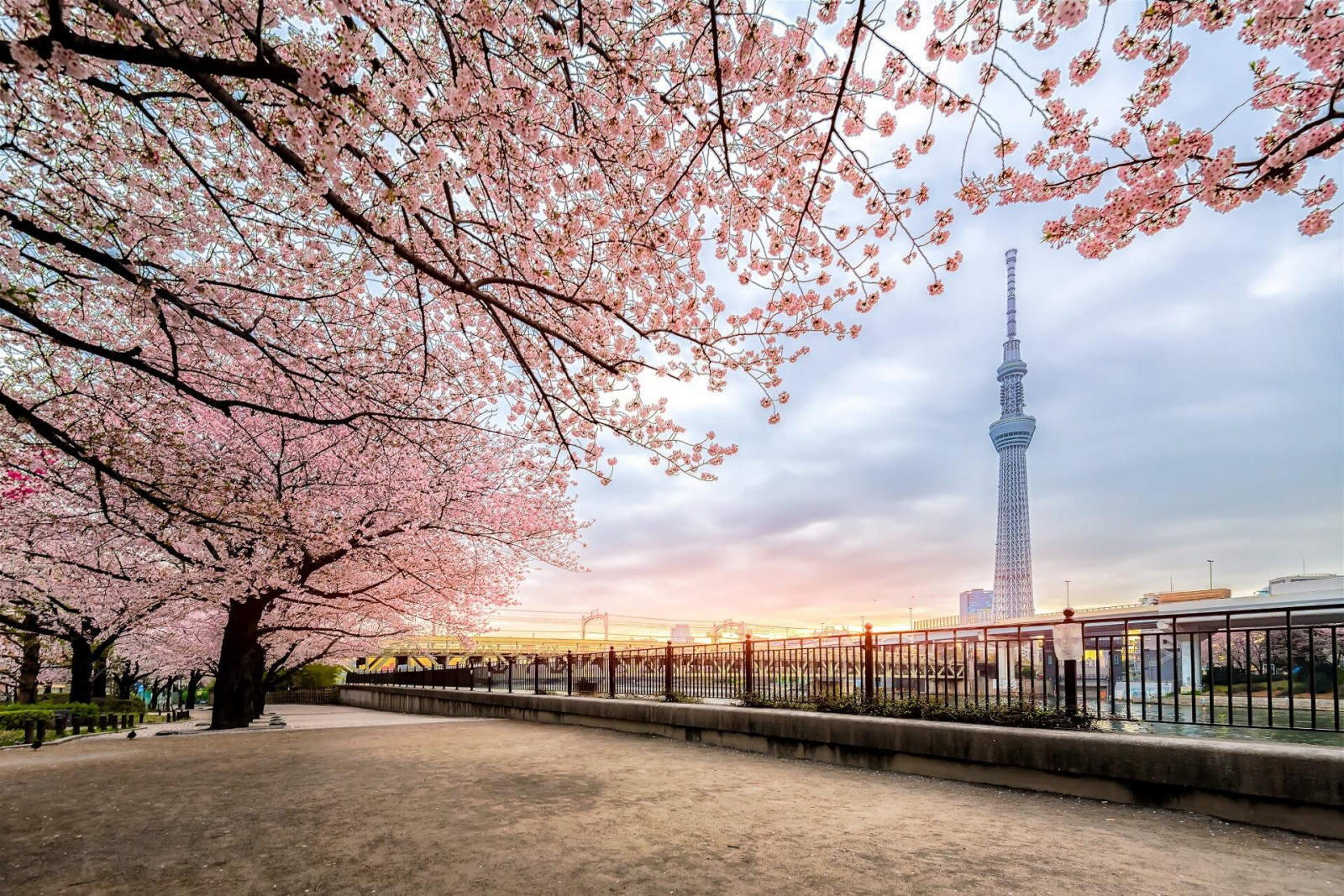 Tokyo, Japan