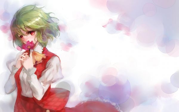 hình minh họa,Anime,Touhou,Hồng,Kazami Yuuka,Lãng mạn