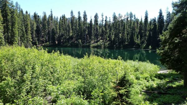 landscape,forest,water,nature,river,lake