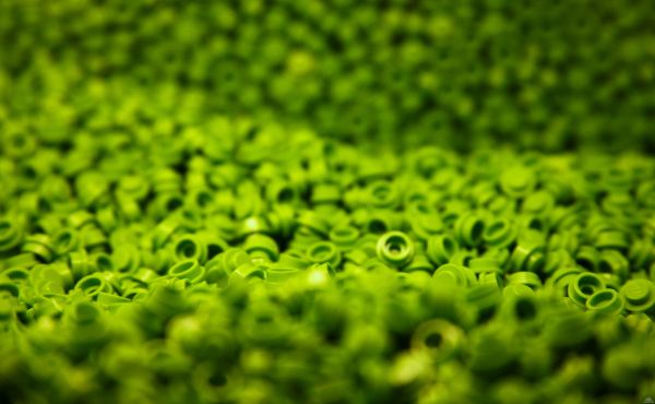 herbe,Macro,mousse,vert,jaune,jouets