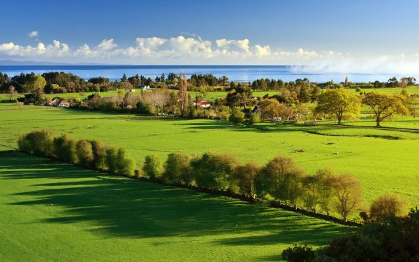 Landschaft, Gras, Sport, Hügel, Feld, Golf