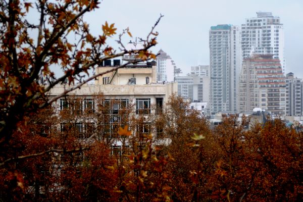 建物,空,超高層ビル,工場,窓,小枝