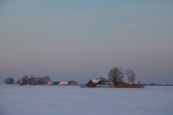 mare,baia,lago,puntellare,la neve,inverno