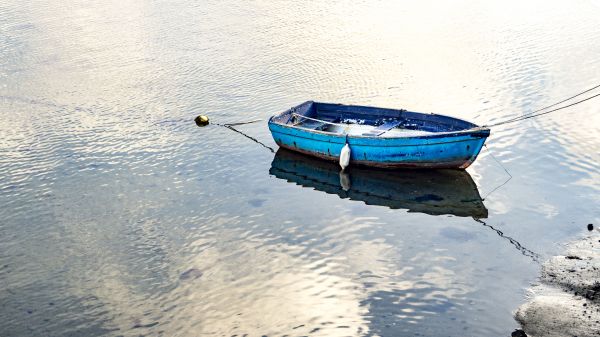 busa laut,perahu