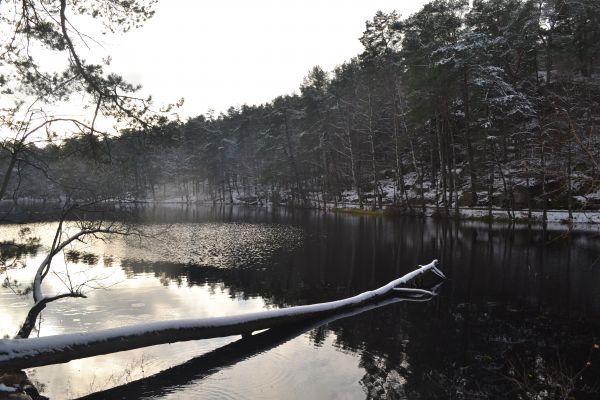 parque,lago,inverno