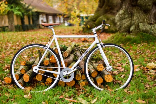 bicycle,vehicle,cycling,Downhill mountain biking,foliage,autumn