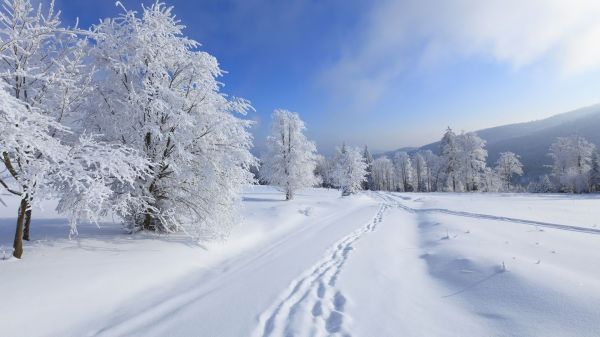 Himmel,Schnee,Winter,Landschaft,Frost,Bergpass