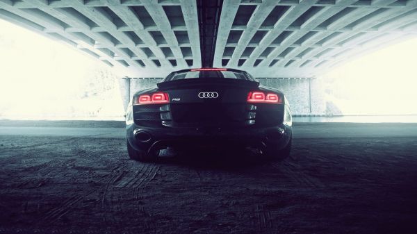 coche,vehículo,Audi,coche deportivo,Audi r8,rueda